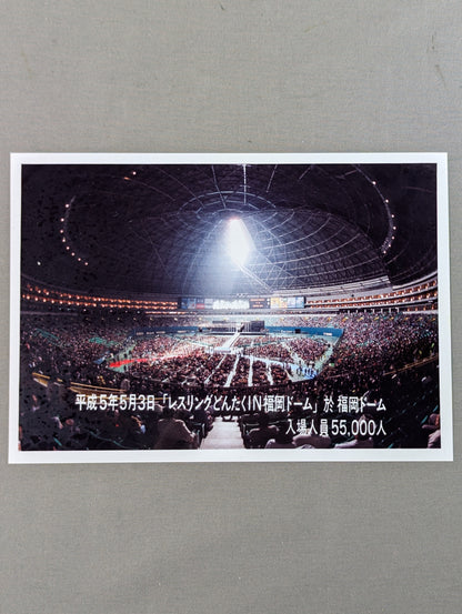 ★写真付★ WRESTLING DONTAKU in FUKUOKA DOME 1993