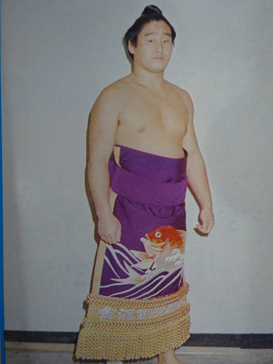 天龍源一郎 ★1976年 大相撲実使用の化粧廻し★