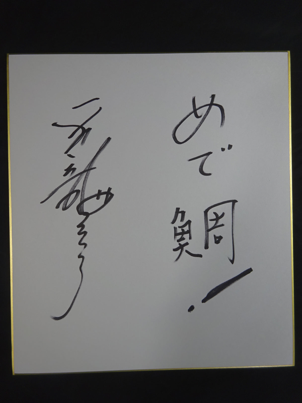 天龍源一郎 ★大相撲実使用 「鯛」の化粧まわし★