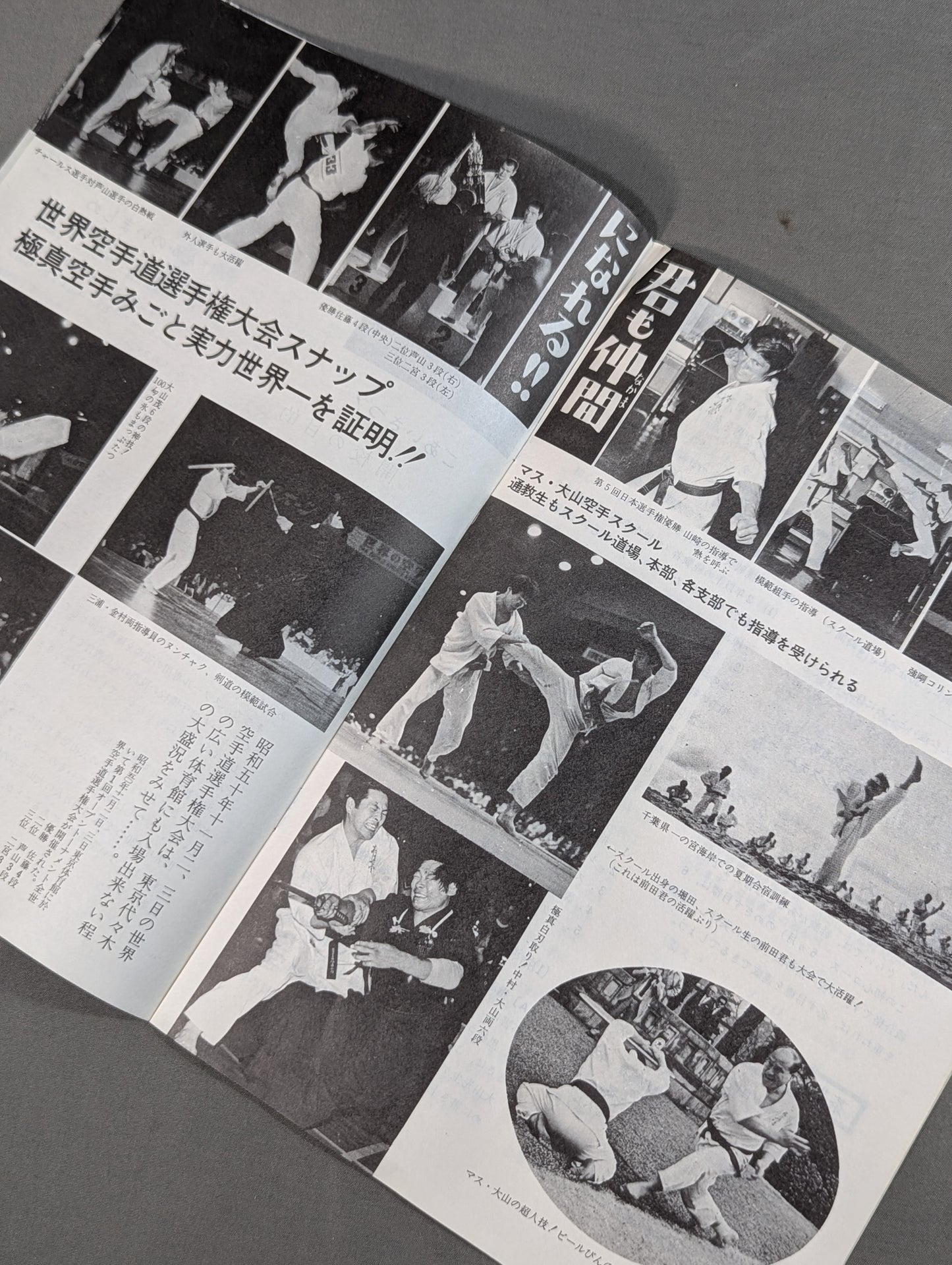 ★マス・大山カラテスクール★ 空手通信講座 入学案内