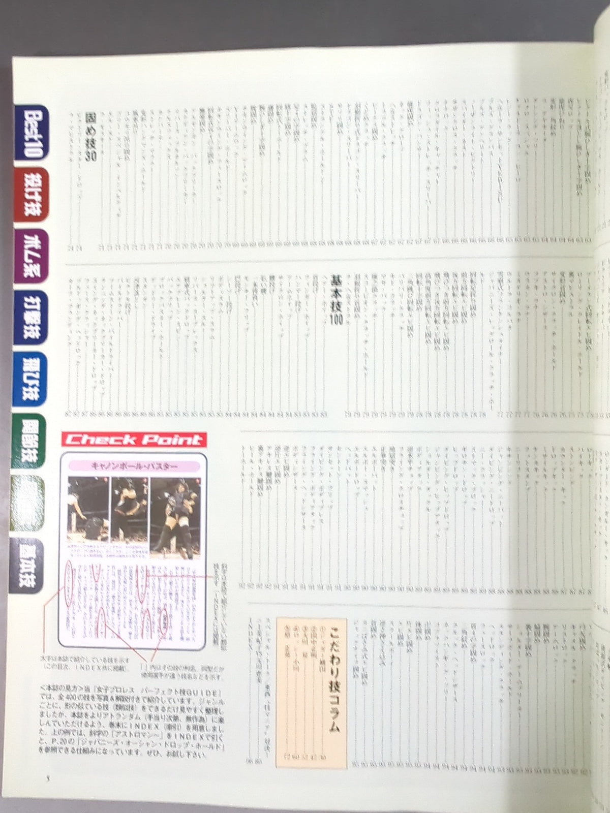 ゴング増刊号 女子プロレスパーフェクト技GUIDE