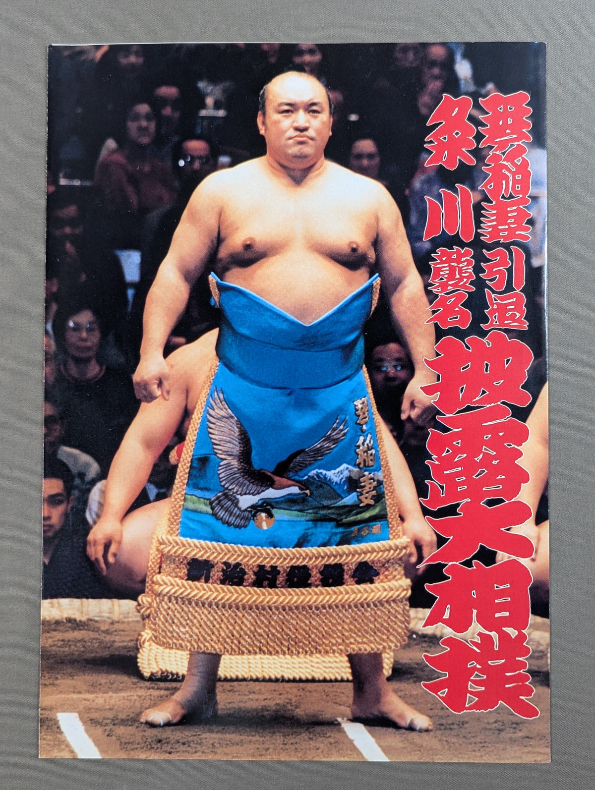 琴稲妻引退・粂川襲名 披露大相撲 取組表