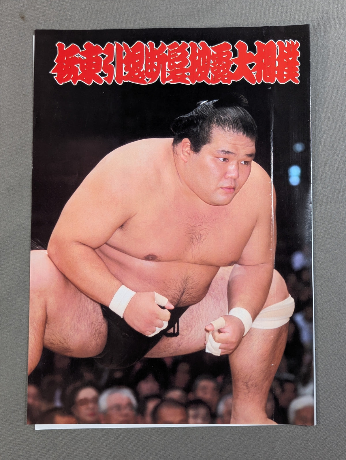 栃東引退断髪 披露大相撲 取組表