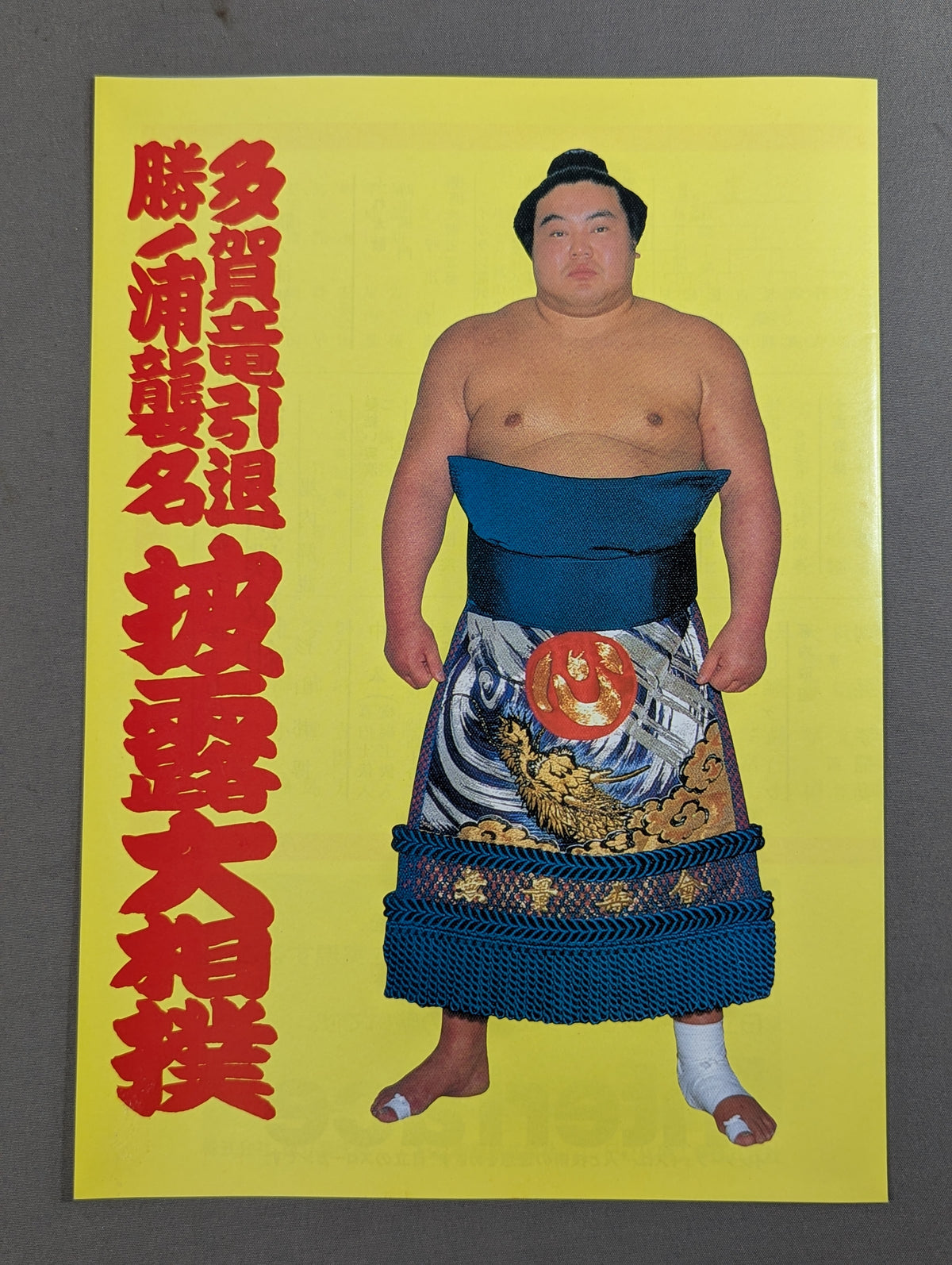 多賀竜引退・勝ノ浦襲名 披露大相撲 取組表