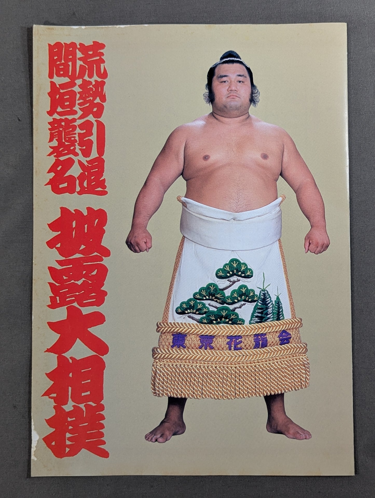 荒勢引退・間垣襲名 披露大相撲 取組表