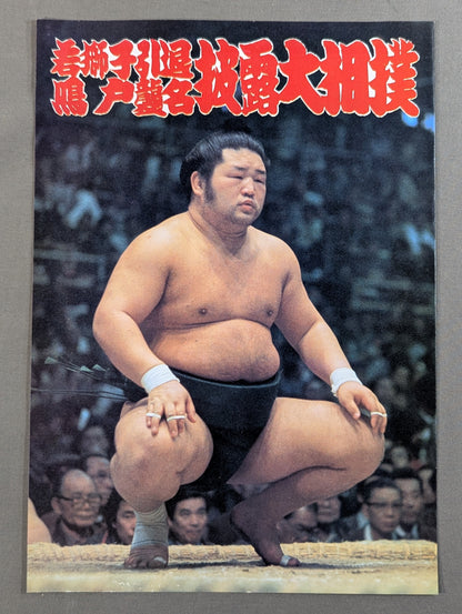 若獅子引退・鳴戸襲名 披露大相撲 取組表