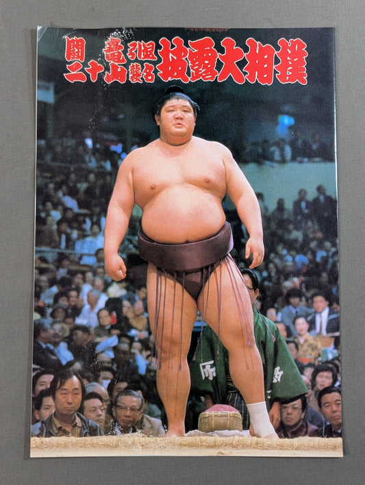 闘竜引退・二十山襲名 披露大相撲 取組表