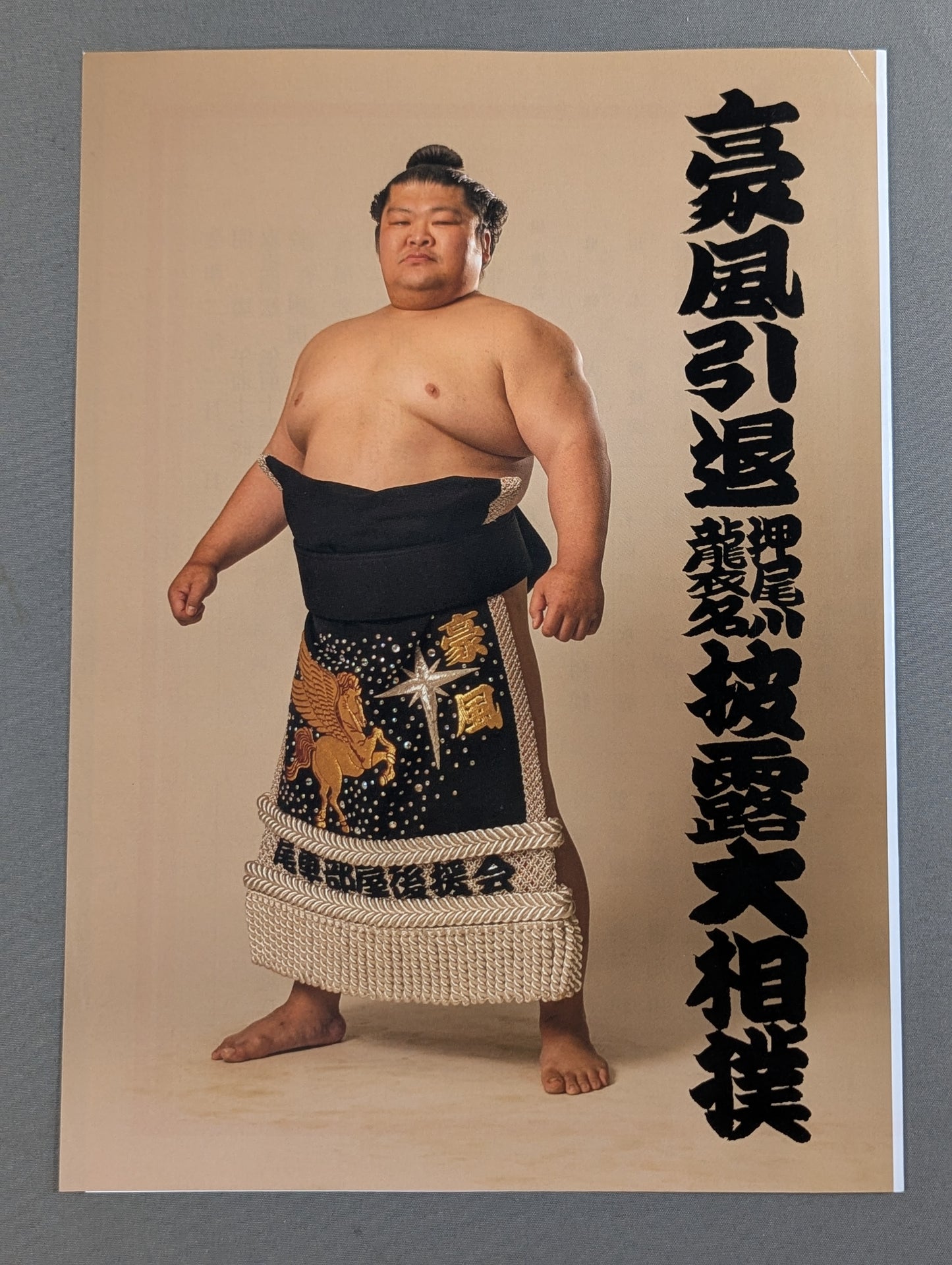 豪風引退・押尾川襲名 披露大相撲 取組表