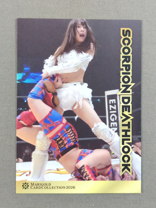 2026 MARIGOLD CARD COLLECTION 心希(75)