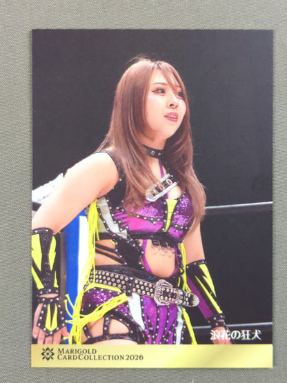 2026 MARIGOLD CARD COLLECTION 山崎裕花(151)