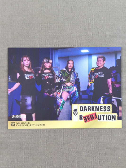 2026 MARIGOLD CARD COLLECTION DARKNESS REVOLUTION(188)