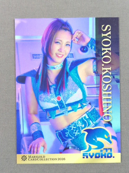 2026 MARIGOLD CARD COLLECTION 越野SYOKO.(155)
