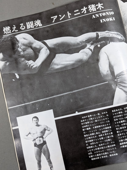 ★ Inoki vs Robinson NWF ★ 75 Fighting Spirits Series Part 2