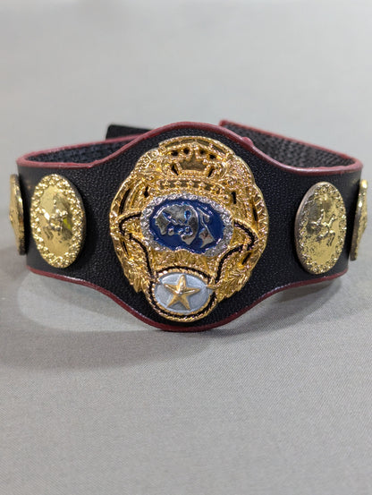 PWF Certified World Tag Team Champion Belt (Left Partner)