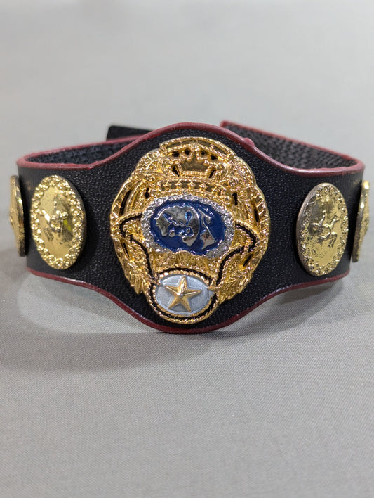 PWF Certified World Tag Team Champion Belt (Left Partner)