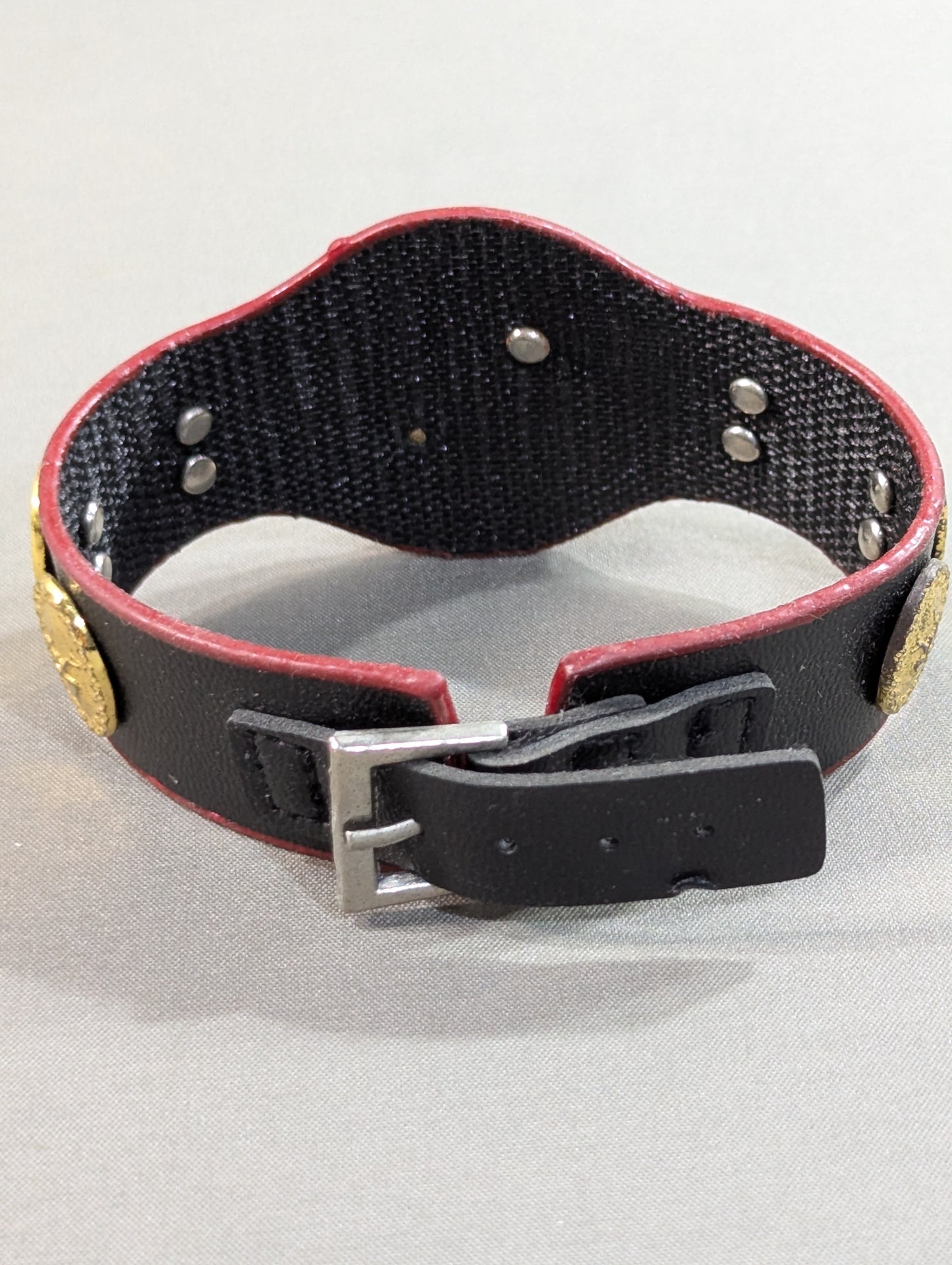 PWF Certified World Tag Team Champion Belt (Left Partner)