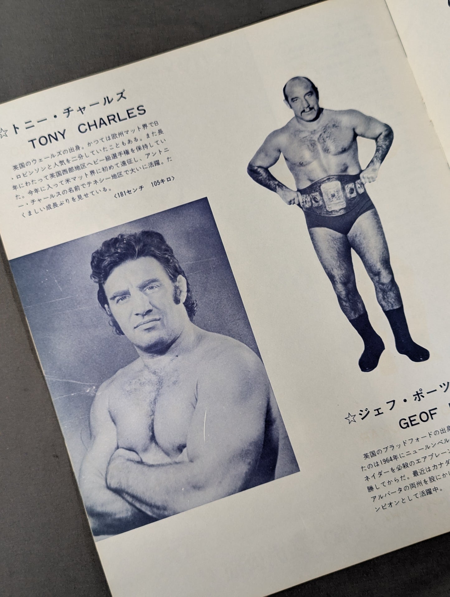 73新春バッファロー・シリーズ