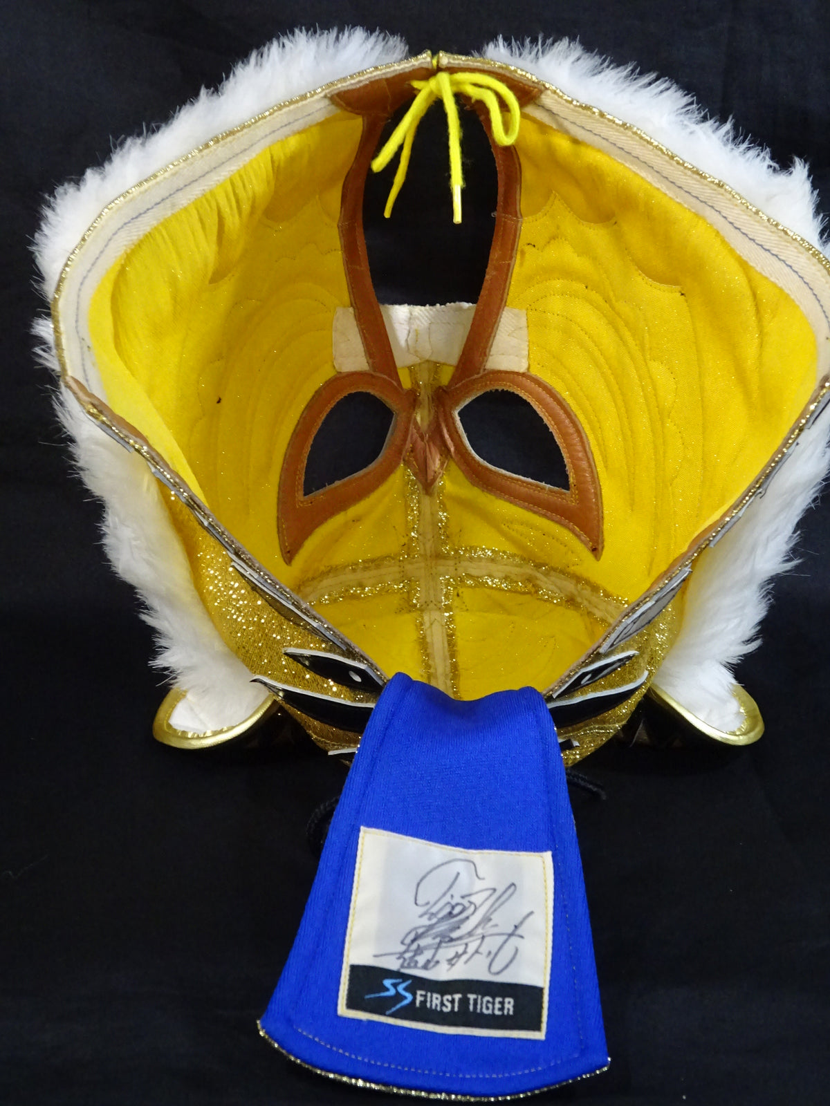 The first Tiger Mask