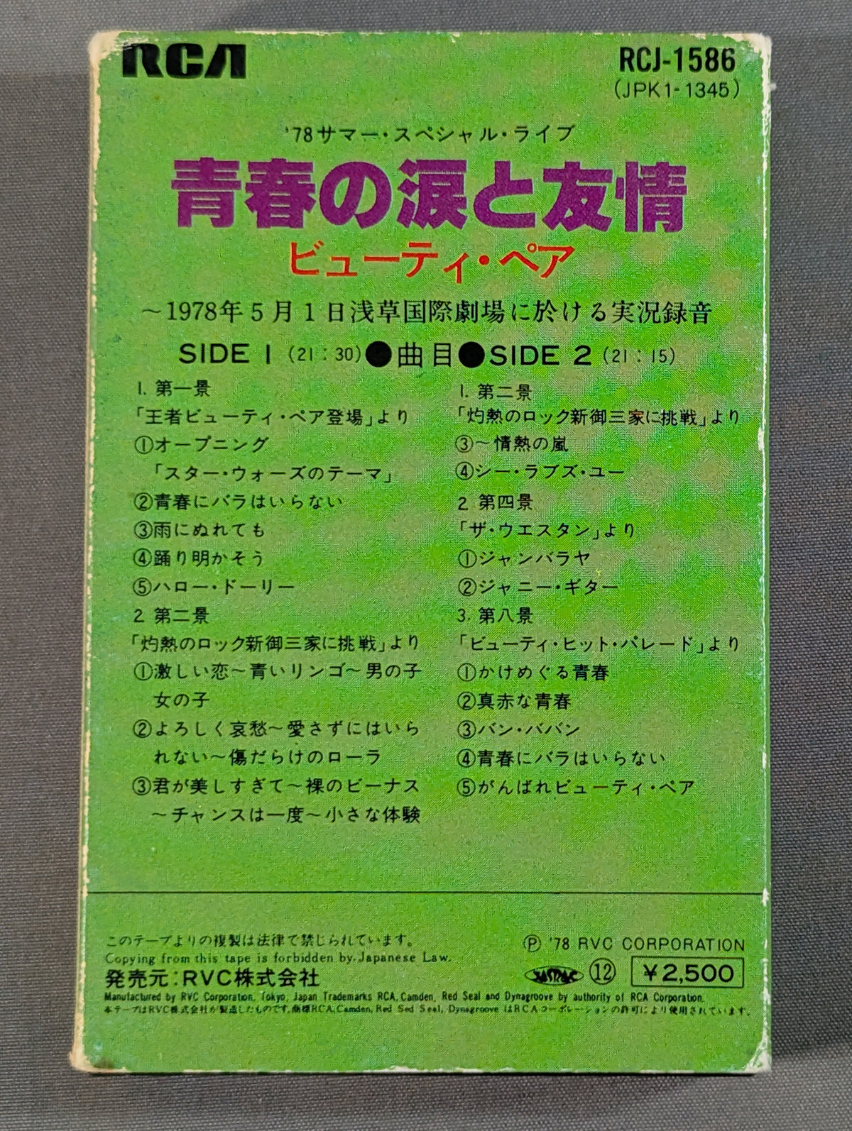 青春と涙と友情 ビューティ・ペア