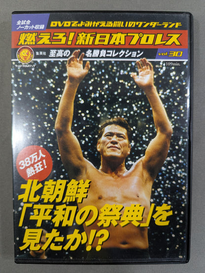 燃えろ!新日本プロレス vol.30