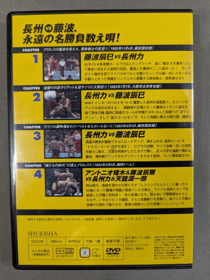 燃えろ!新日本プロレス vol.25
