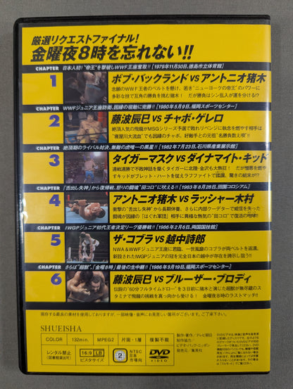 燃えろ!新日本プロレス vol.66