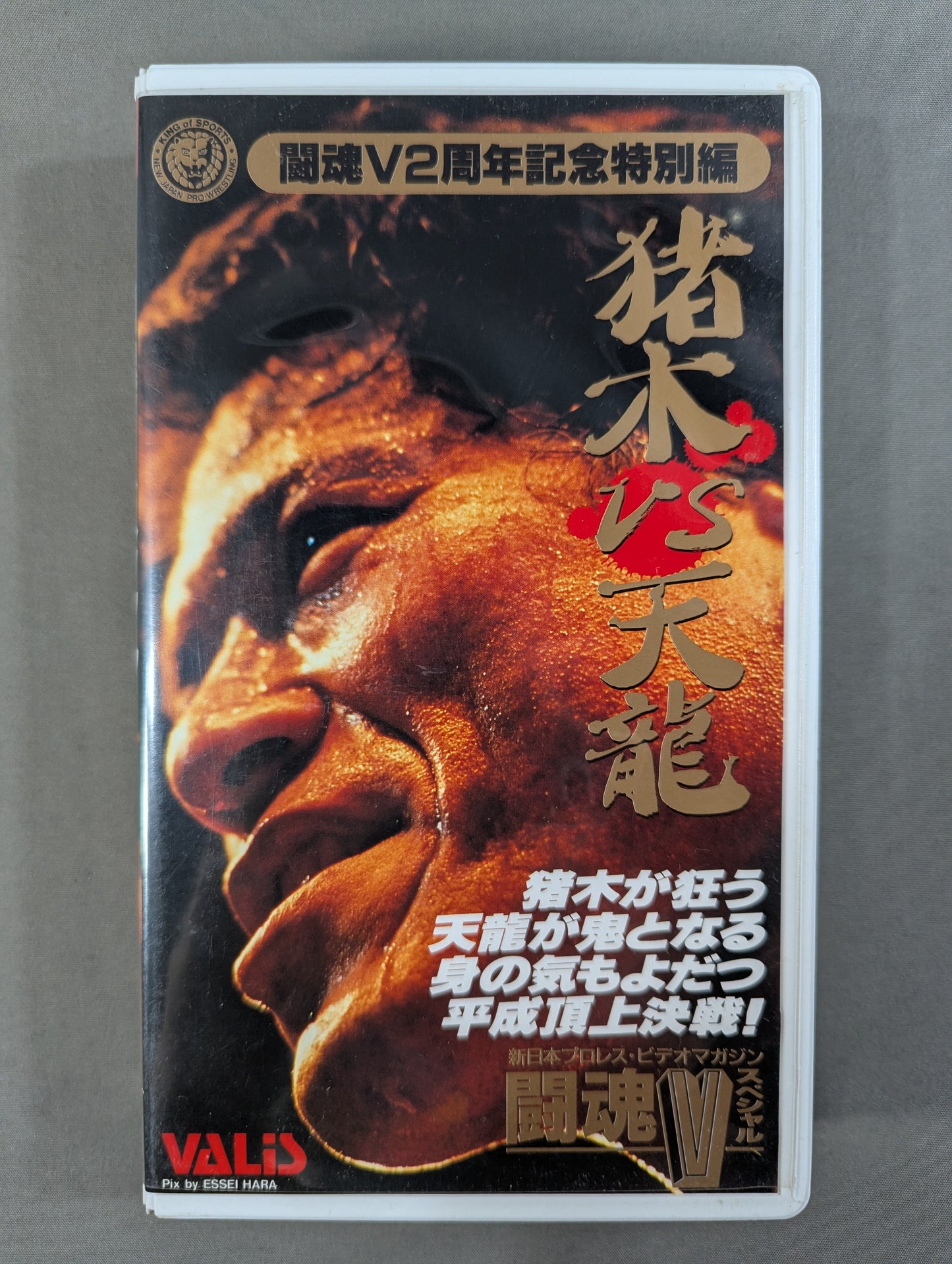 ★闘魂Vスペシャル2周年記念特別編★ 猪木vs天龍