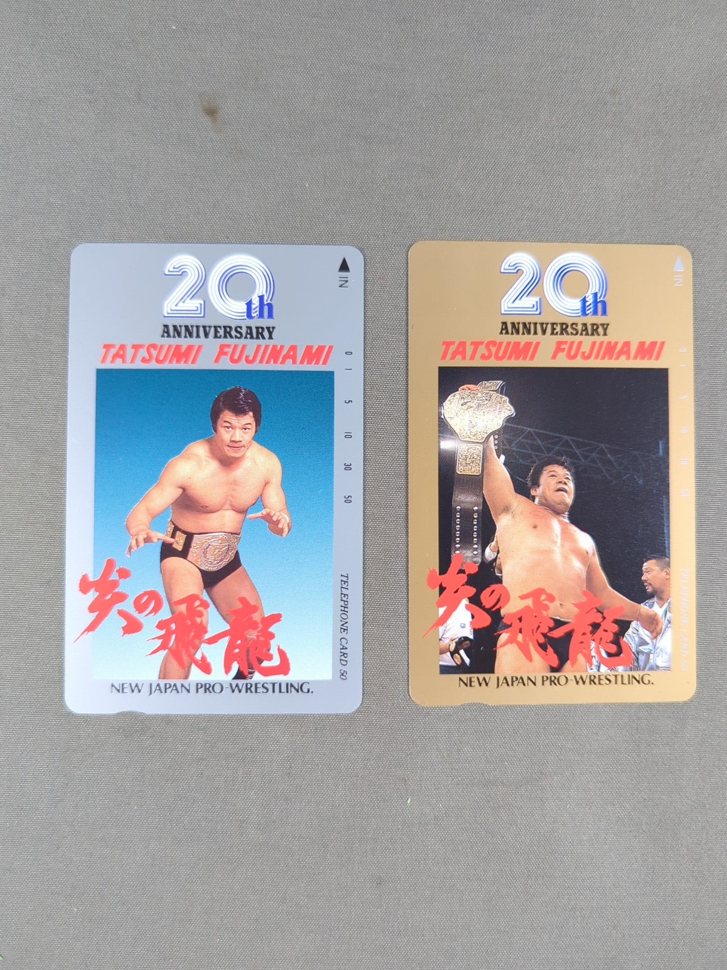 藤波辰爾 「炎の飛龍」20th ANNIVERSARY