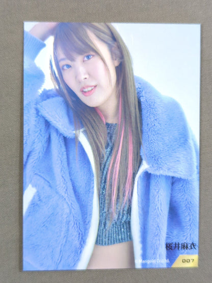 MARIGOLD CARD COLLECTION 桜井麻衣(7)