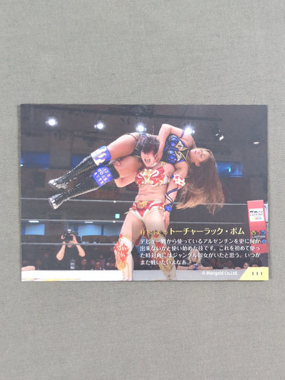 MARIGOLD CARD COLLECTION 林下詩美(111)