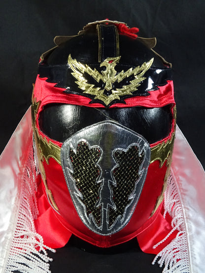 HAYABUSA 