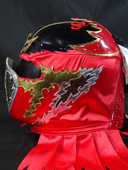 HAYABUSA 