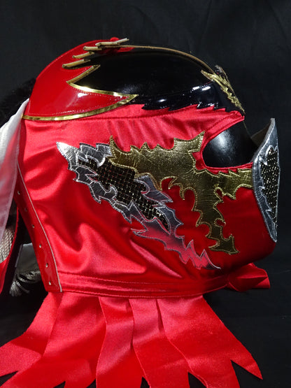 HAYABUSA 