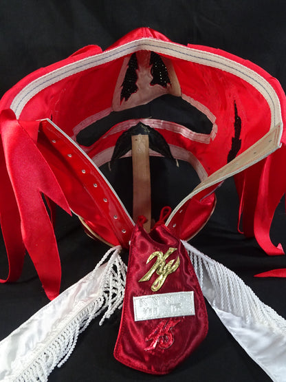 HAYABUSA 