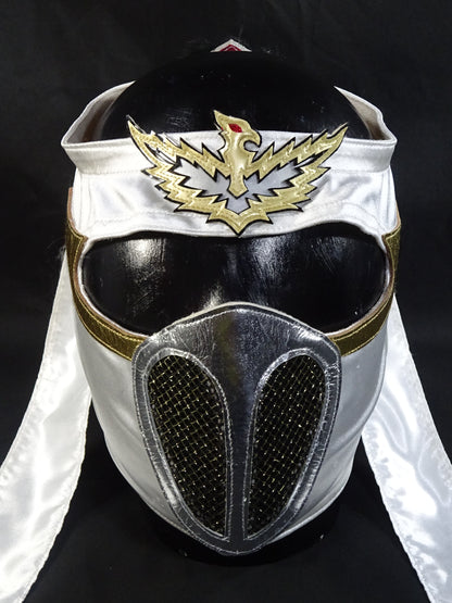 HAYABUSA 