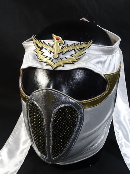 HAYABUSA 