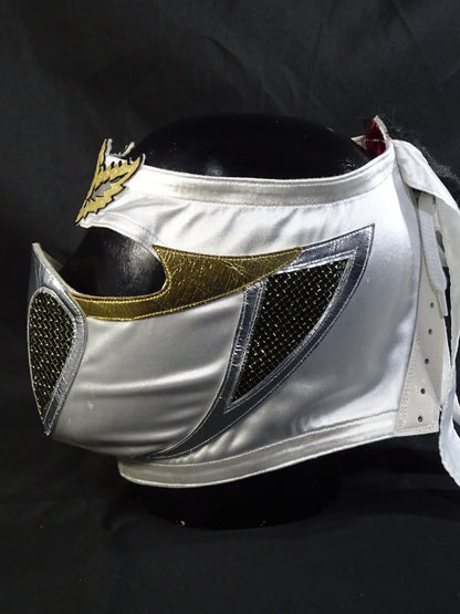 HAYABUSA 