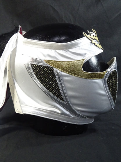 HAYABUSA 