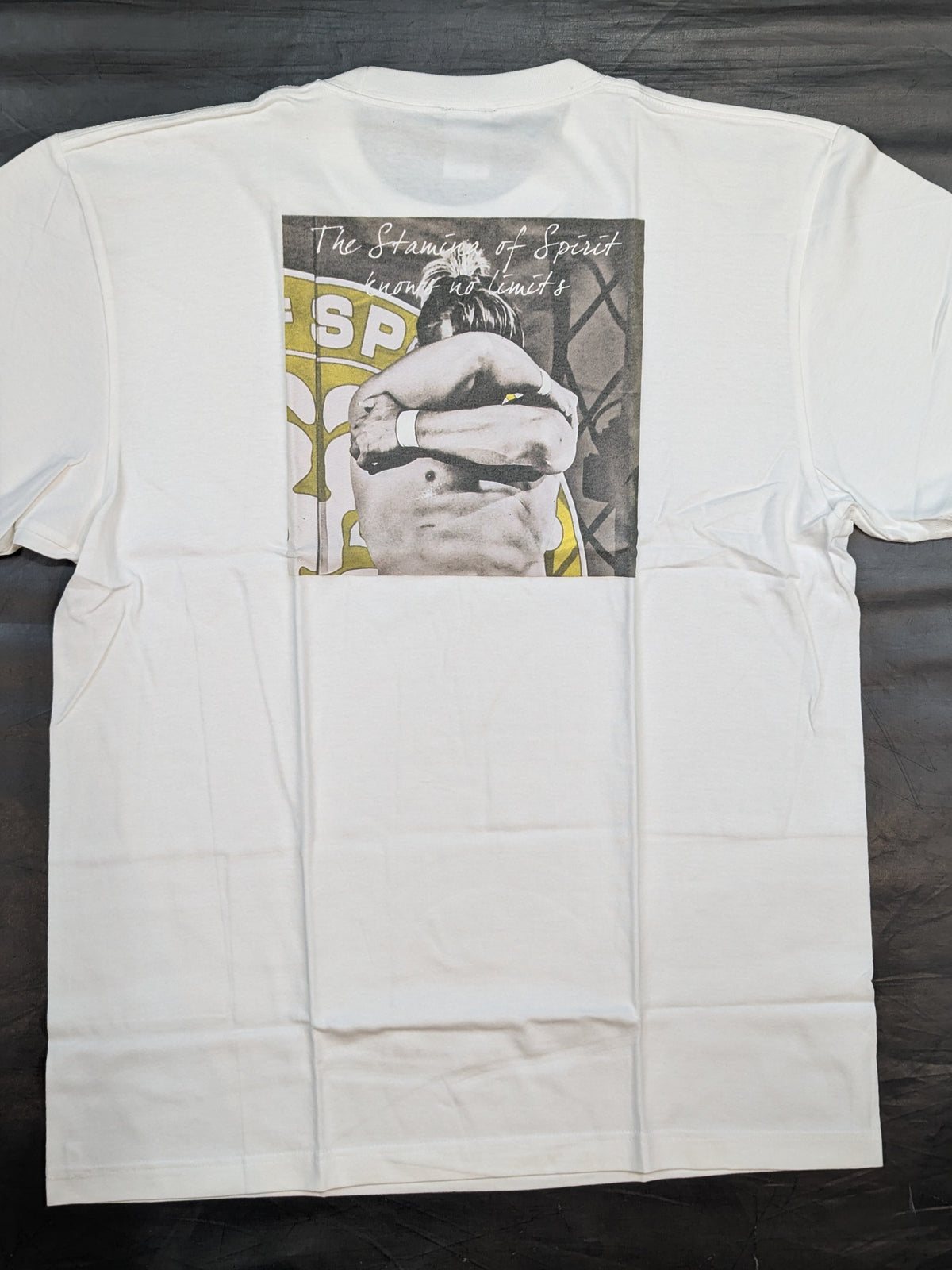 棚橋弘至「AIR HUG」Tシャツ(ホワイト)