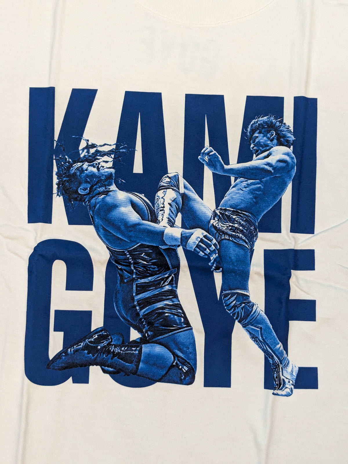 FINISHING MOVE TEE(飯伏幸太)