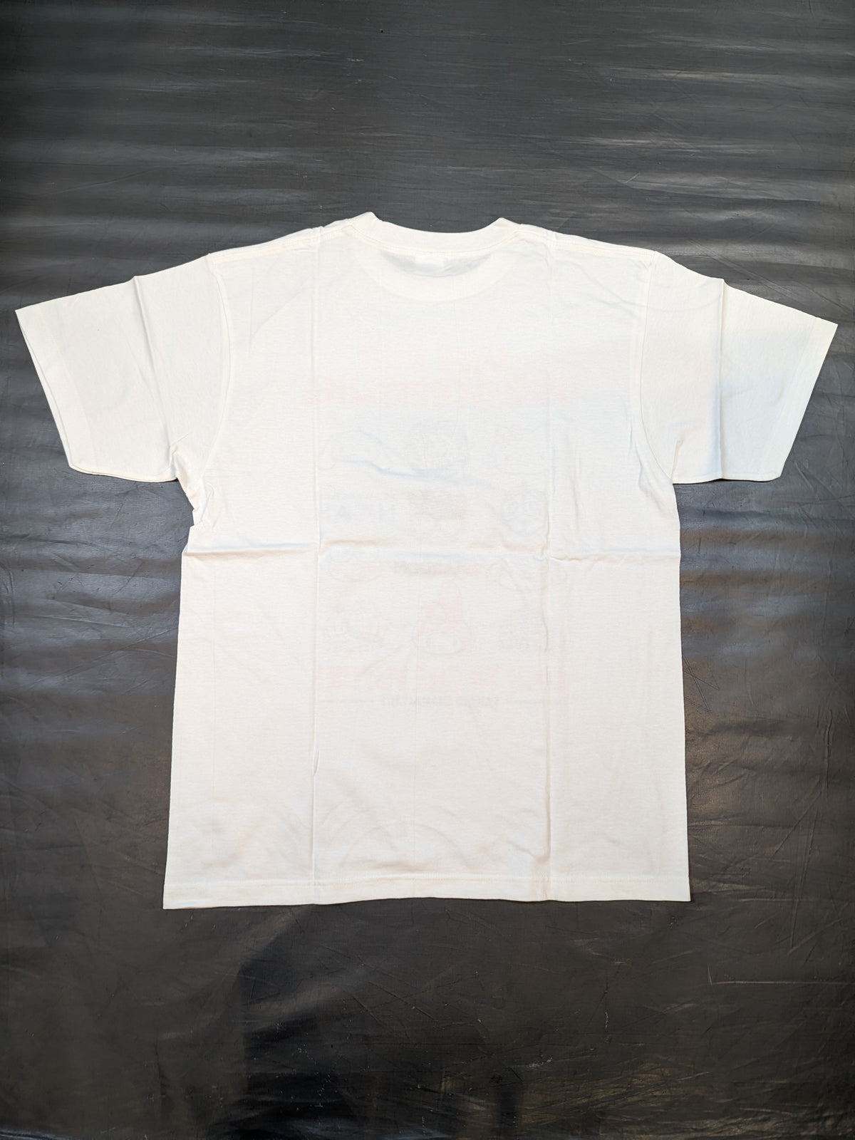 SAVE OUR PRO-WRESTLING×SANRIO CHARACTERS Tシャツ(ホワイト)