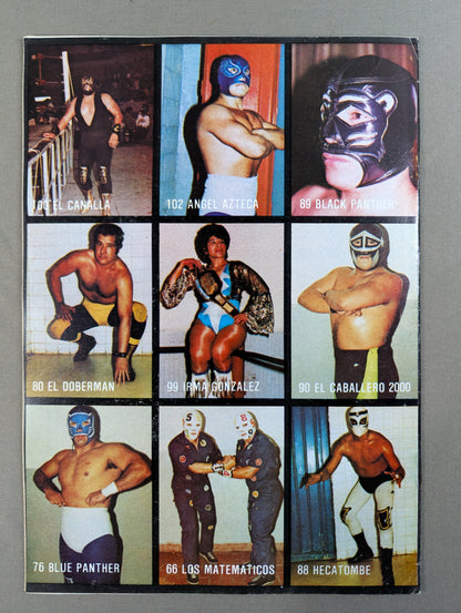 LUCHA LIBRE No.1238