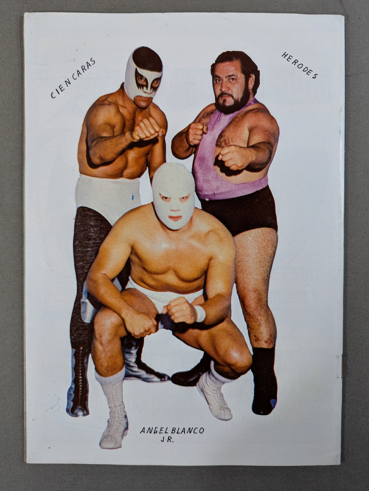 LUCHA LIBRE No.1255