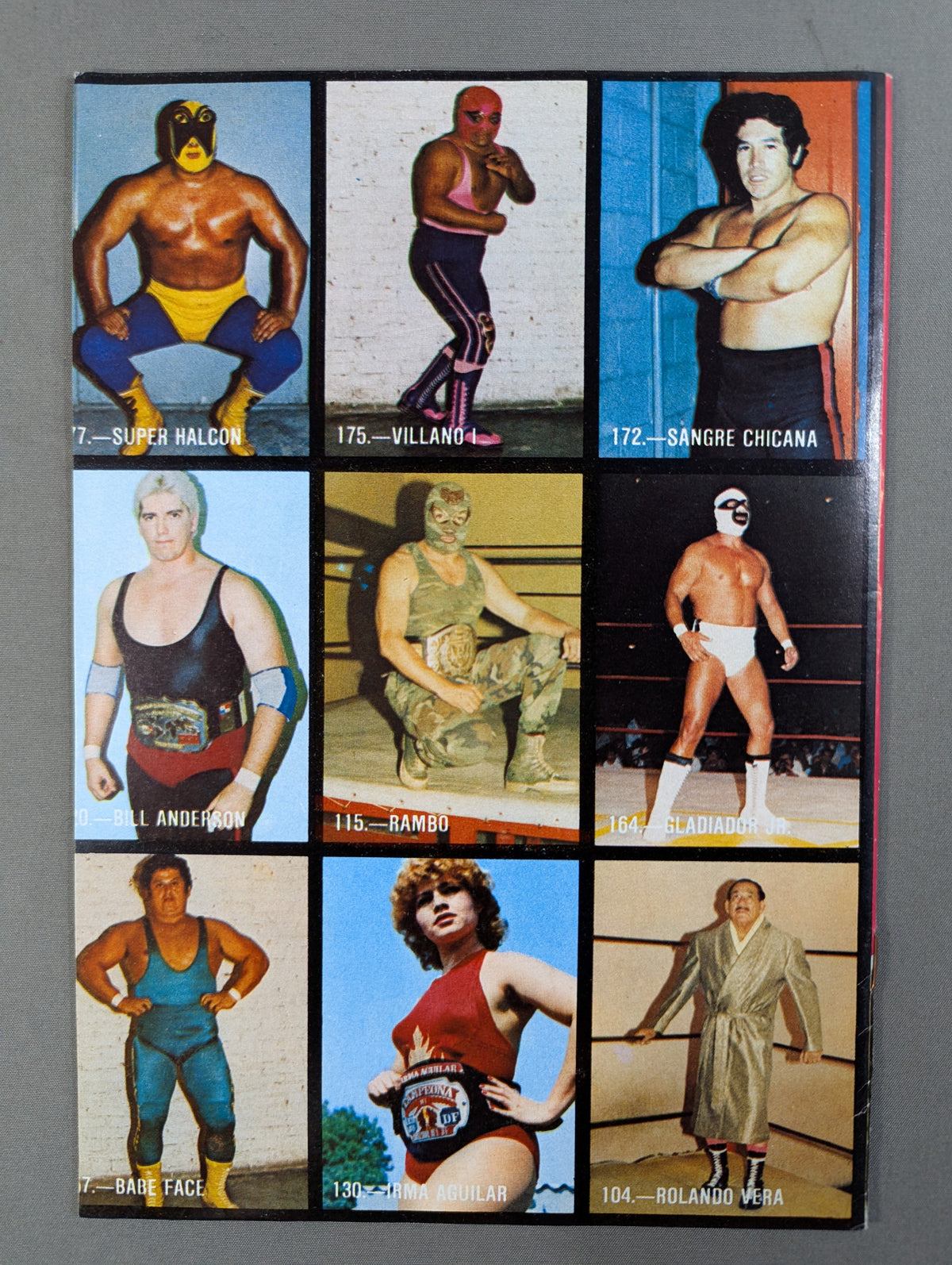 LUCHA LIBRE No.1254