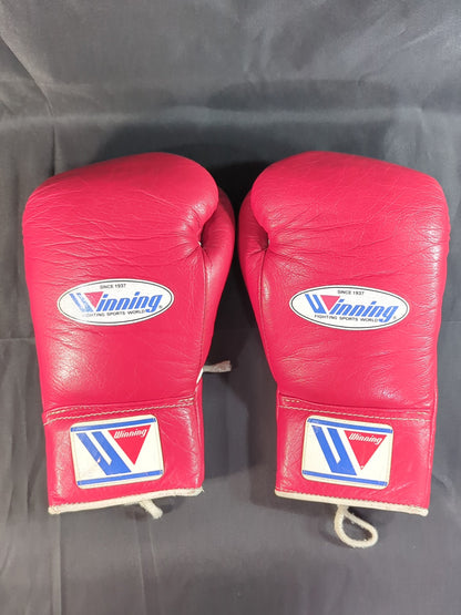 Winning Boxing Gloves