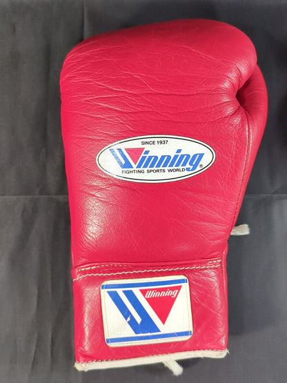 Winning Boxing Gloves