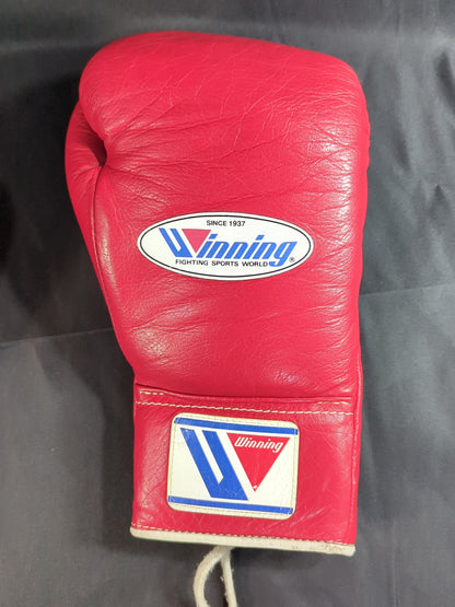Winning Boxing Gloves