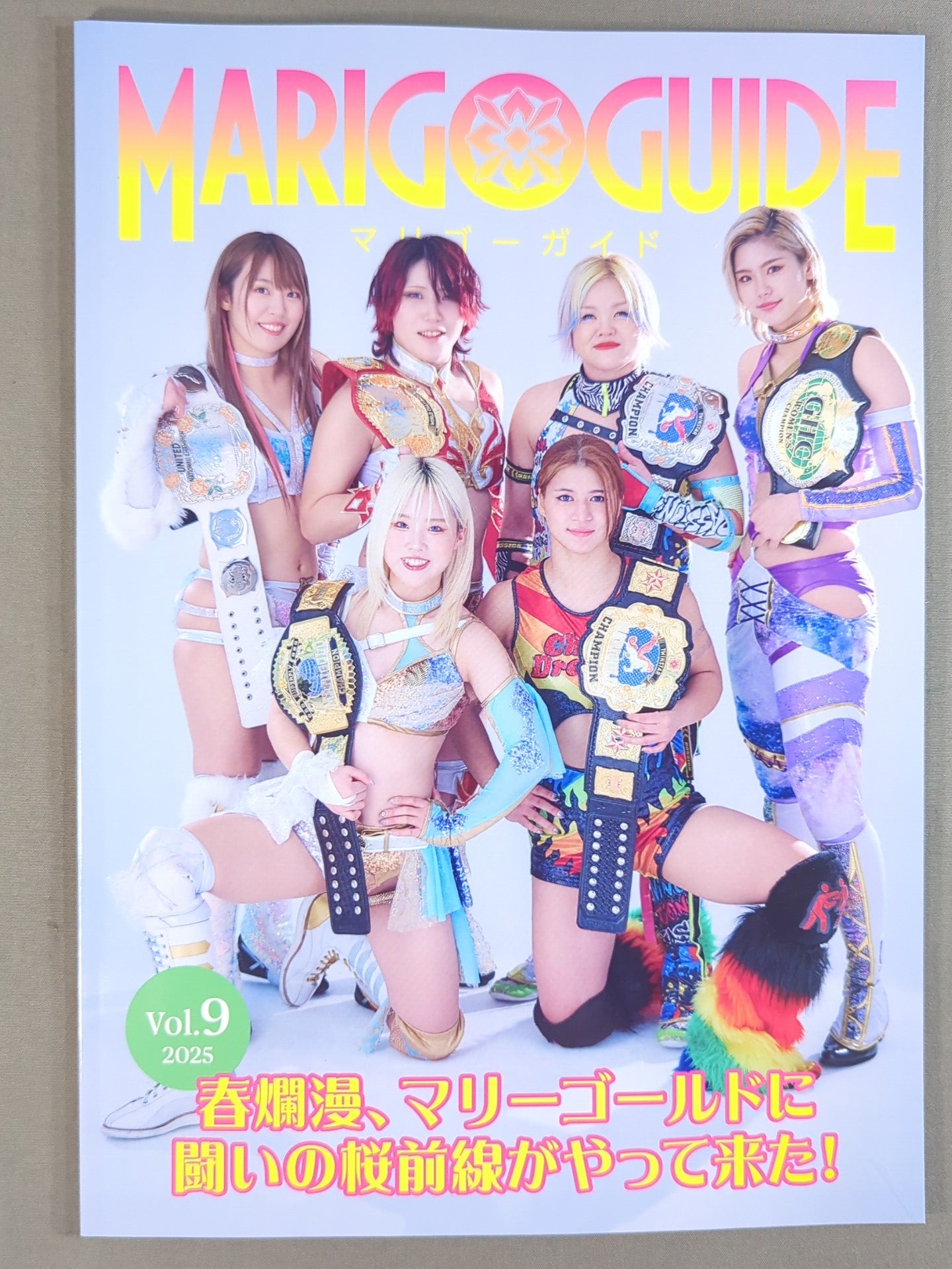 MARIGOLD GUIDE BOOK Vol.9