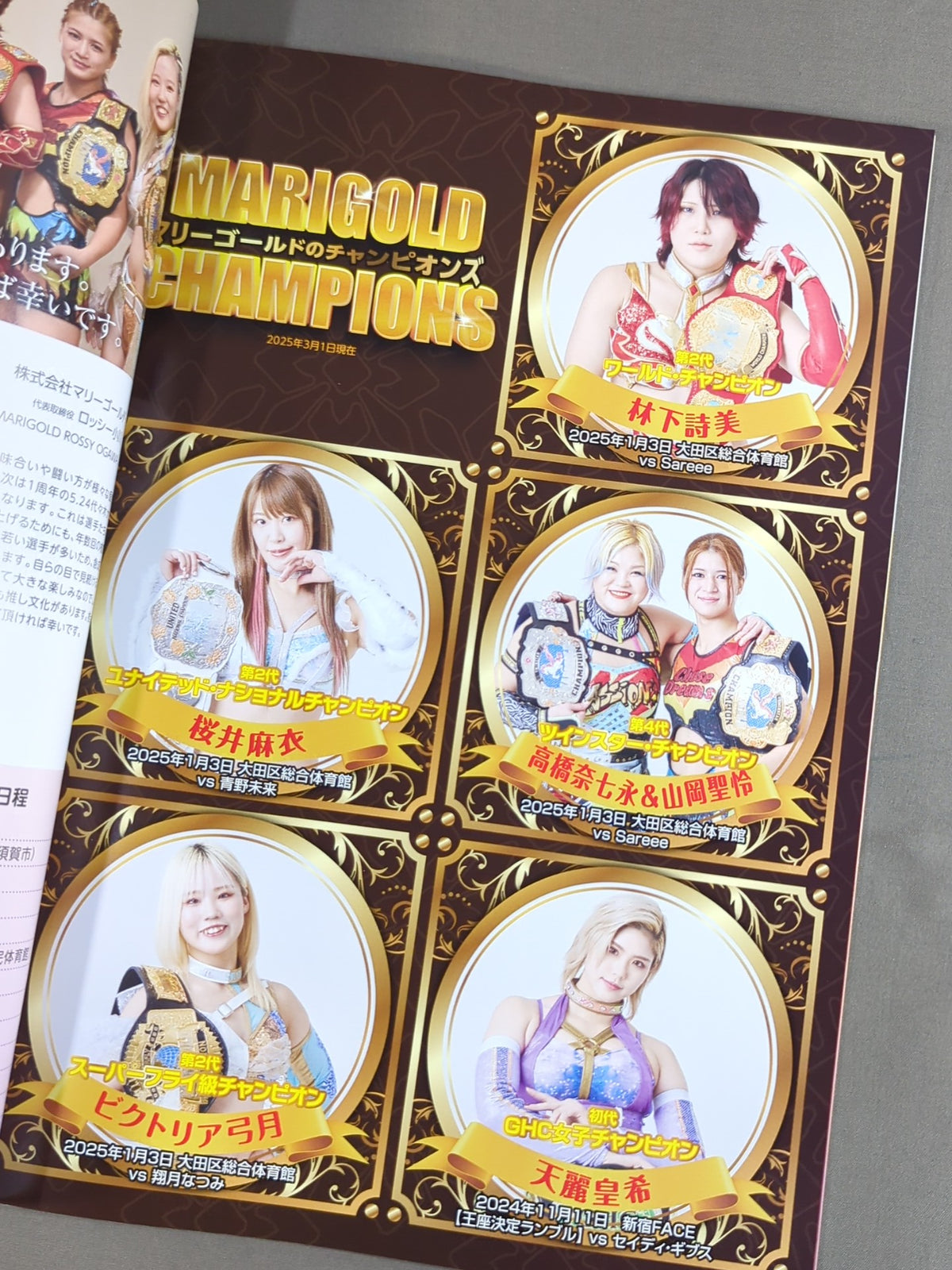 MARIGOLD GUIDE BOOK Vol.9