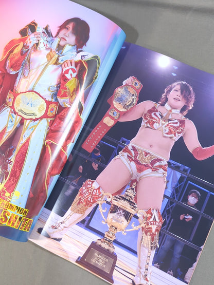 MARIGOLD GUIDE BOOK Vol.9